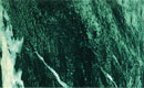 Verde Alpi