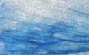 Azul Macauba